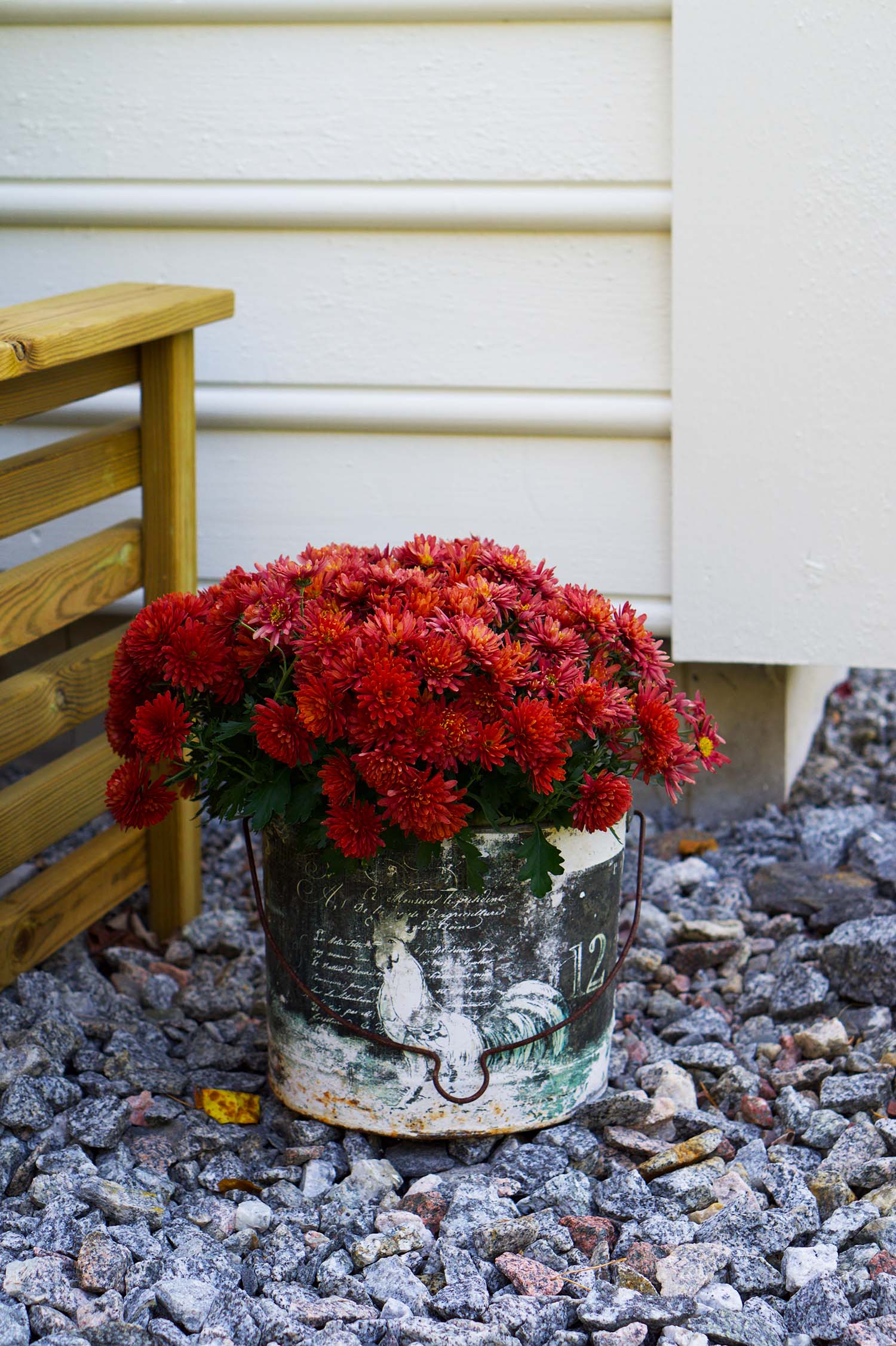 Höstfix i trädgården