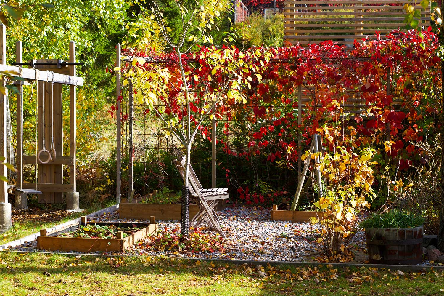 Höstfix i trädgården