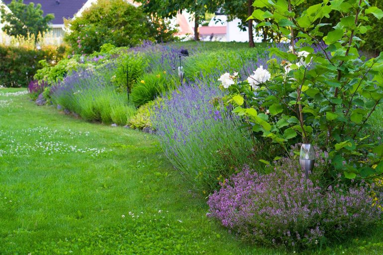 1_hemester-tradgarden-1 - Hemester - om vår semester hemma