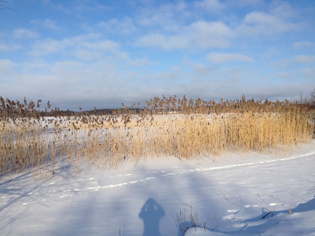3-mil-lopning-2 - 30 kilometers njutbar löpning