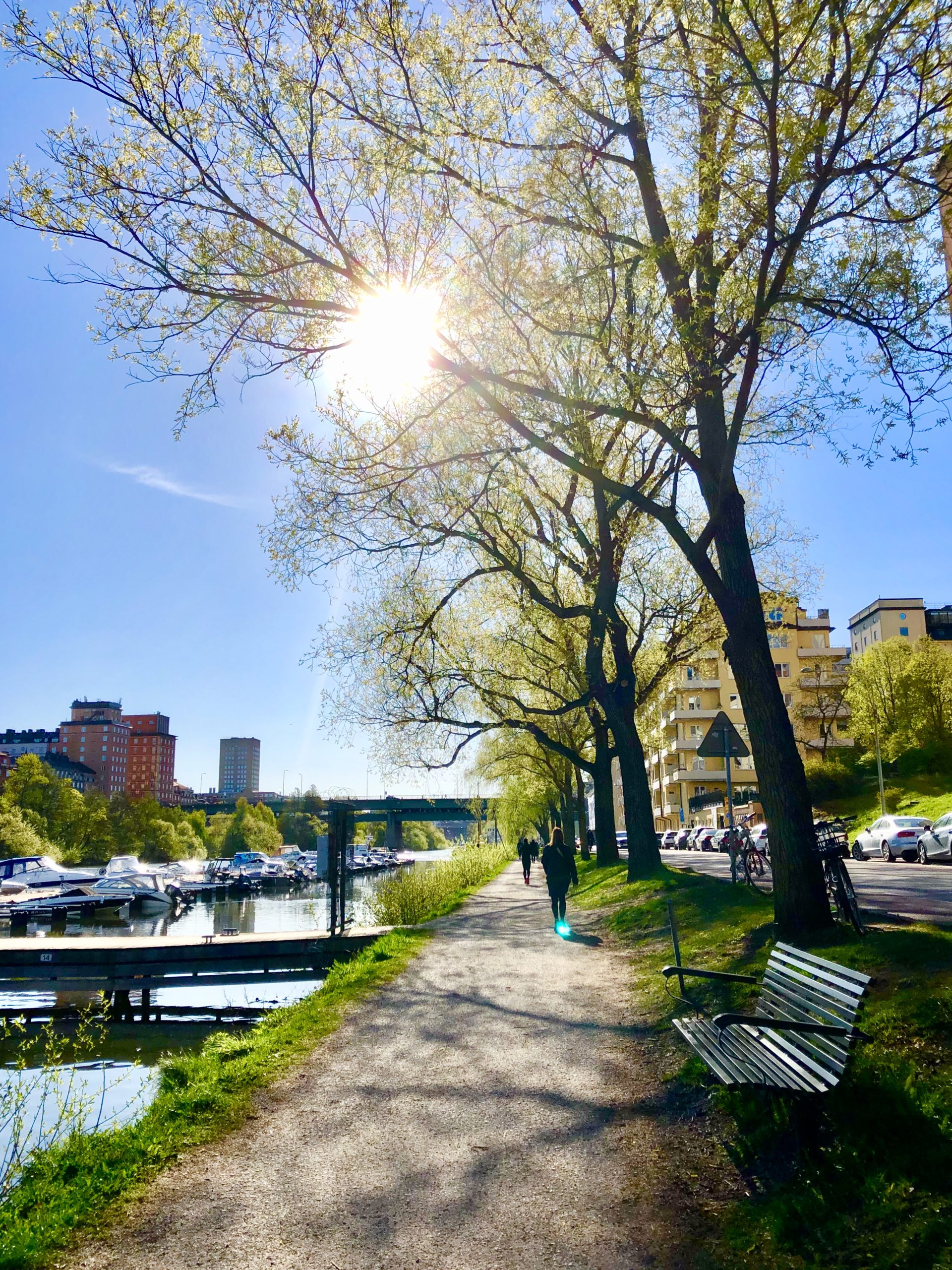 Morgonpromenad i maj