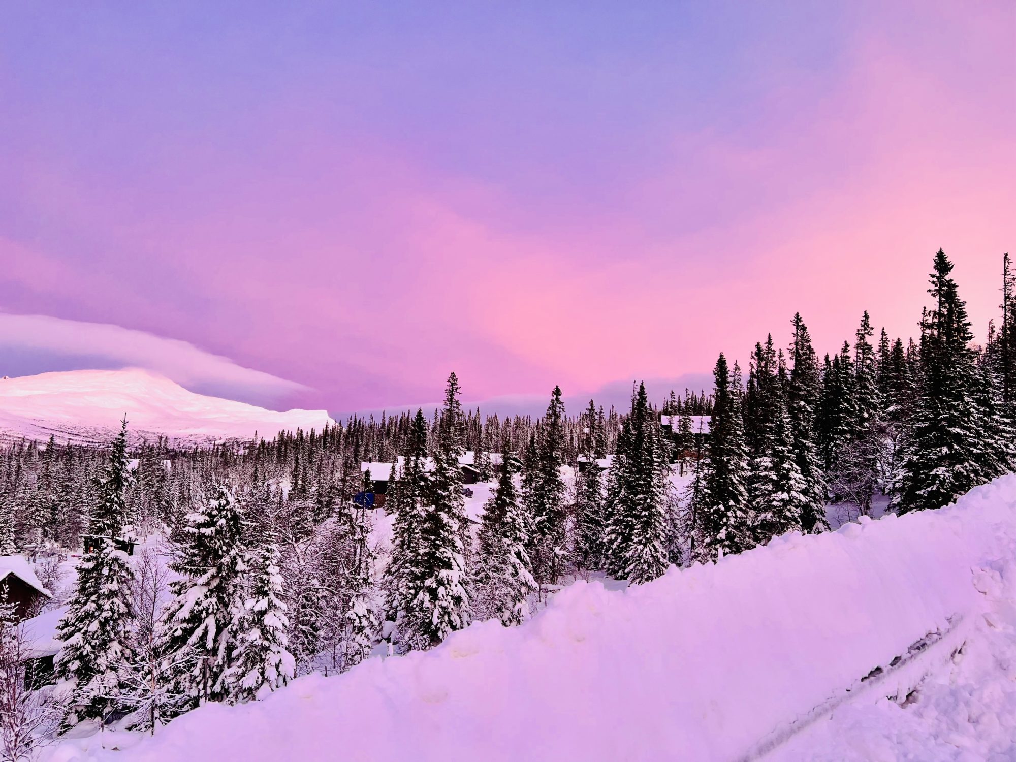 82C2F288-28DF-4AD7-AEFA-9ACBAE50BFAB - Veckans Bästa från Åre vecka 3 2023 ♥