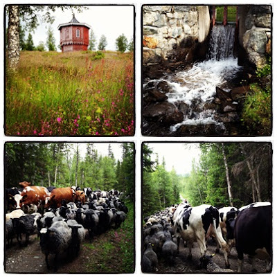 Are-kring-Froa-gruva - Åre 2012