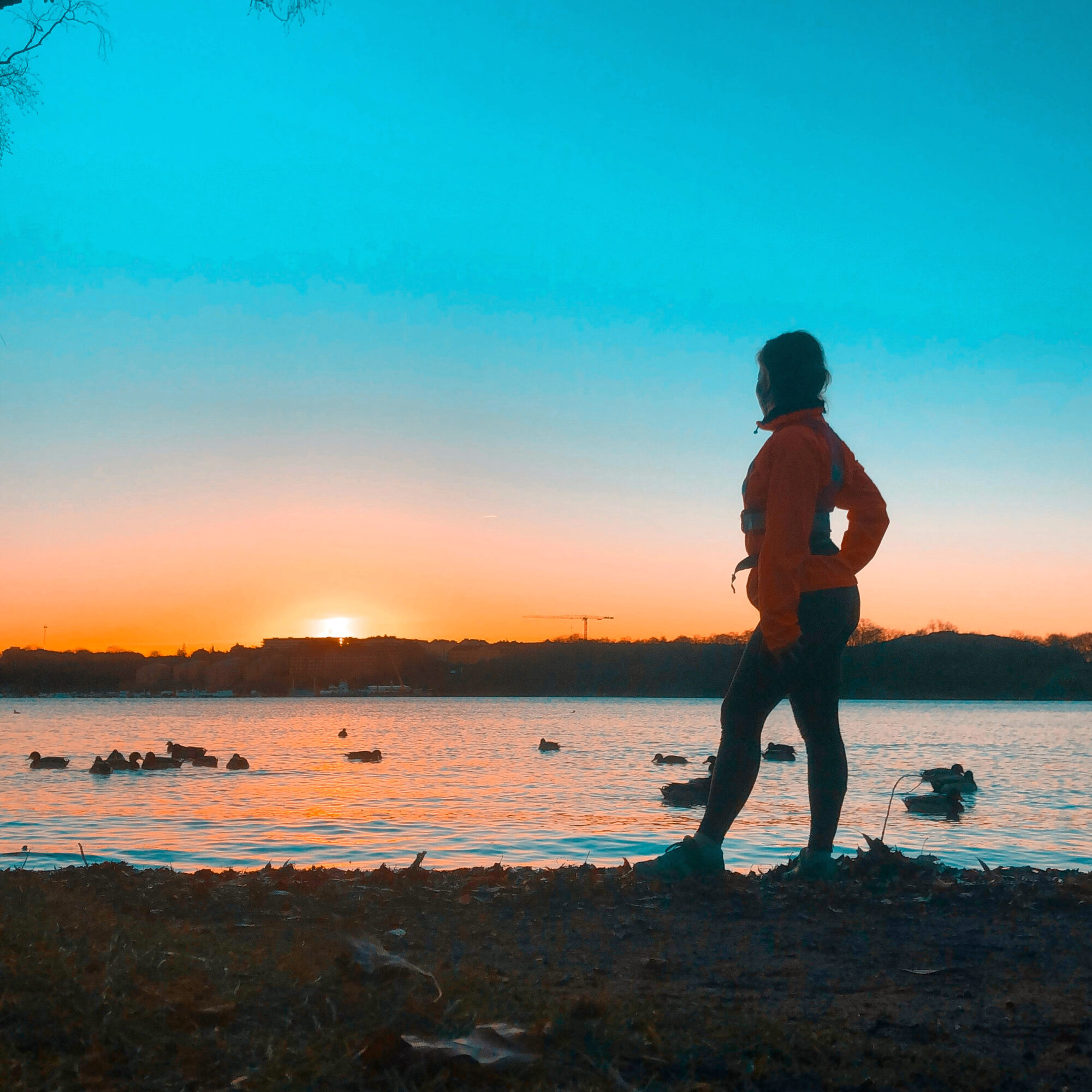 B00BAA6C-5D78-44D9-89E4-78570D121BBE-1 - Veckans Bästa från Maxa livet-veckan ♥