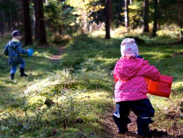 Barnen-i-skogen-4-1500x999-2