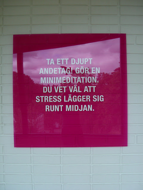 CIMG4618 - Inget bra att stressa