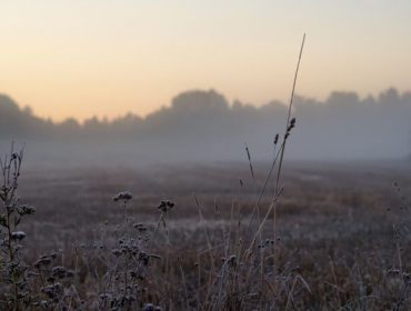 DSC05161-e1451338591536