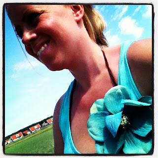 Dagens-promenad-3 - Vila, förberedelser och uppladdning