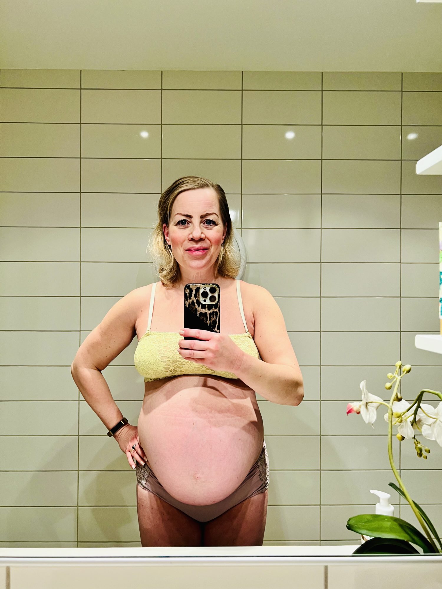 E5342458-8634-4942-80CB-01F19B79ABE4 - Gravid eller fet