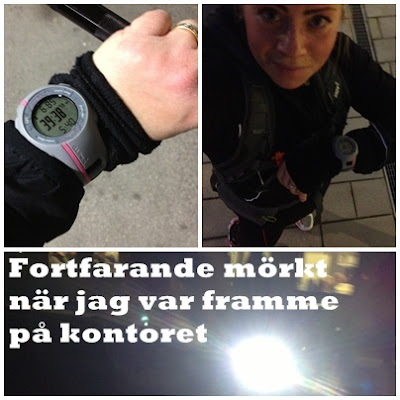 Garmin-lopning - Me and my Garmin