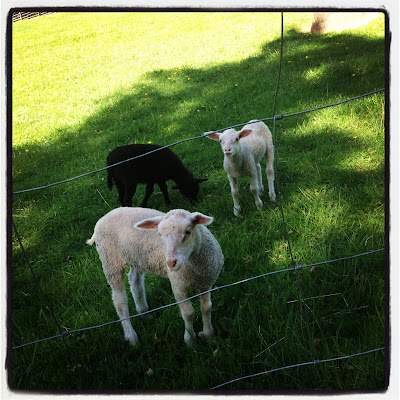 Halsa-for-mig-3 - Hälsa för mig är inte bara träning och bra kost