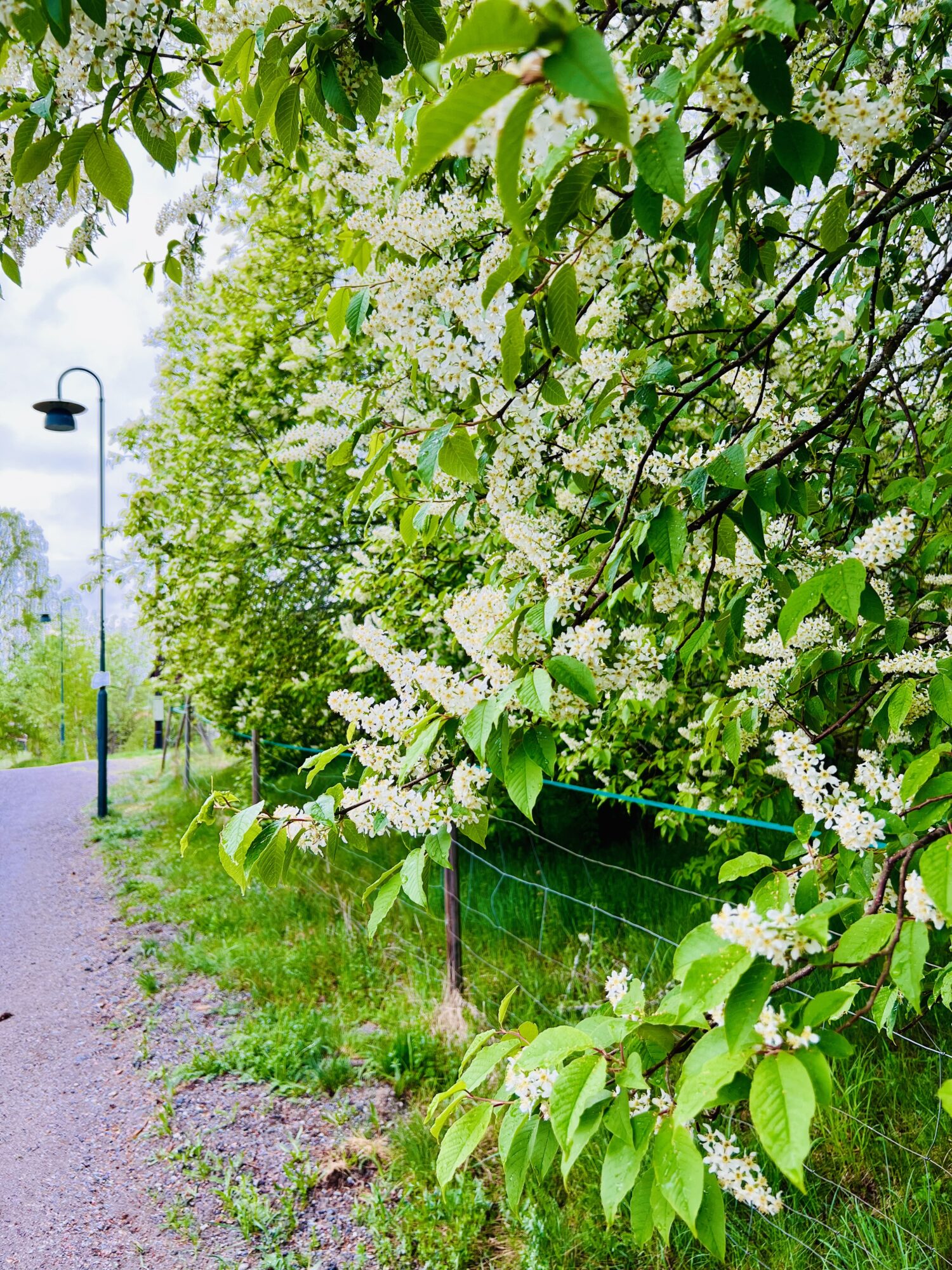 IMG_2258 - Viktiga hälsofrågor