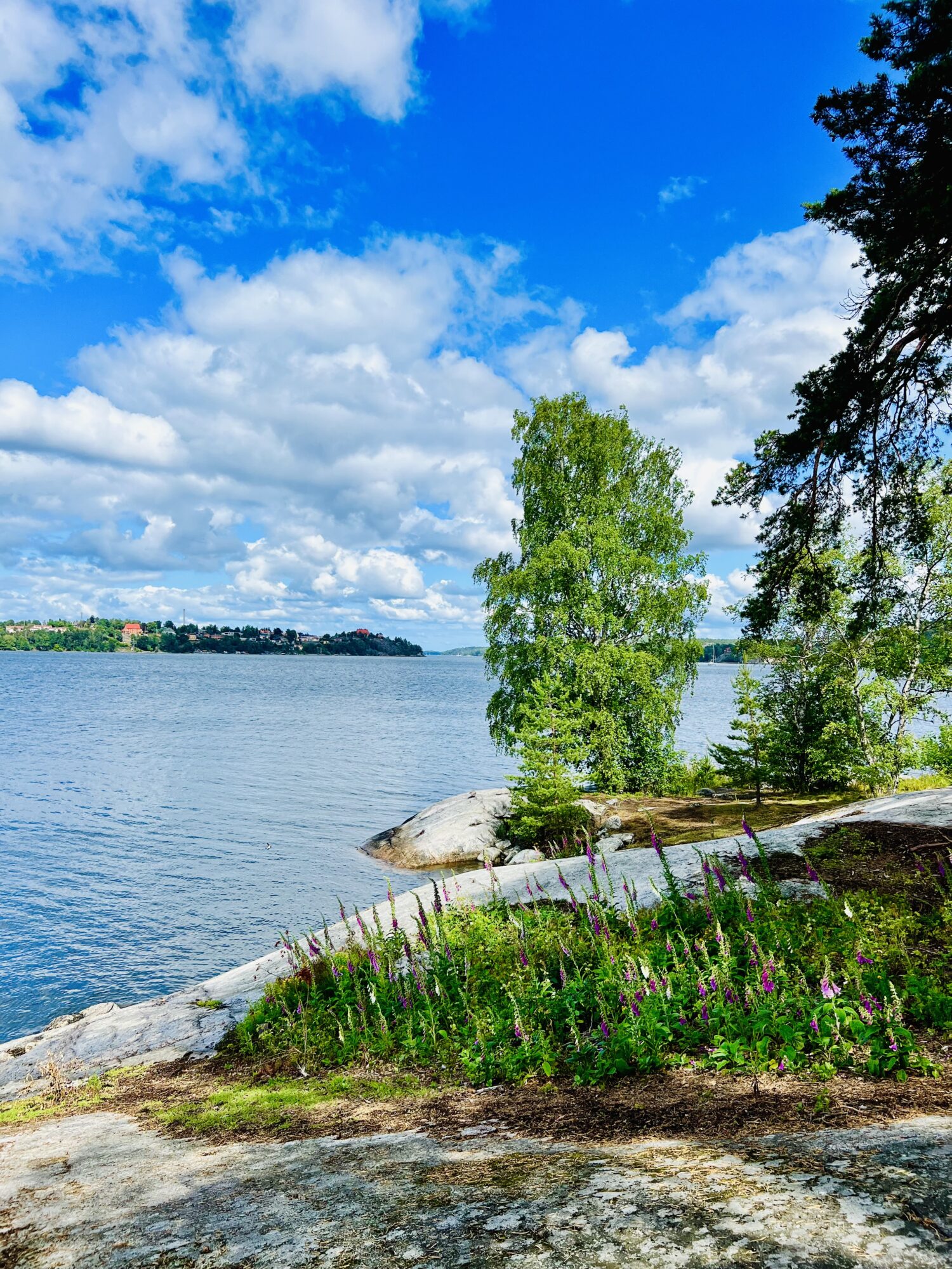 IMG_3780 - Veckan med det varierande vädret - Veckans Bästa från vecka 27 2023