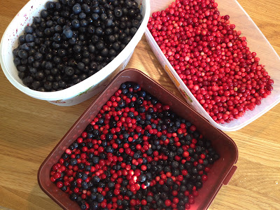 IMG_3837 - Rött och blått