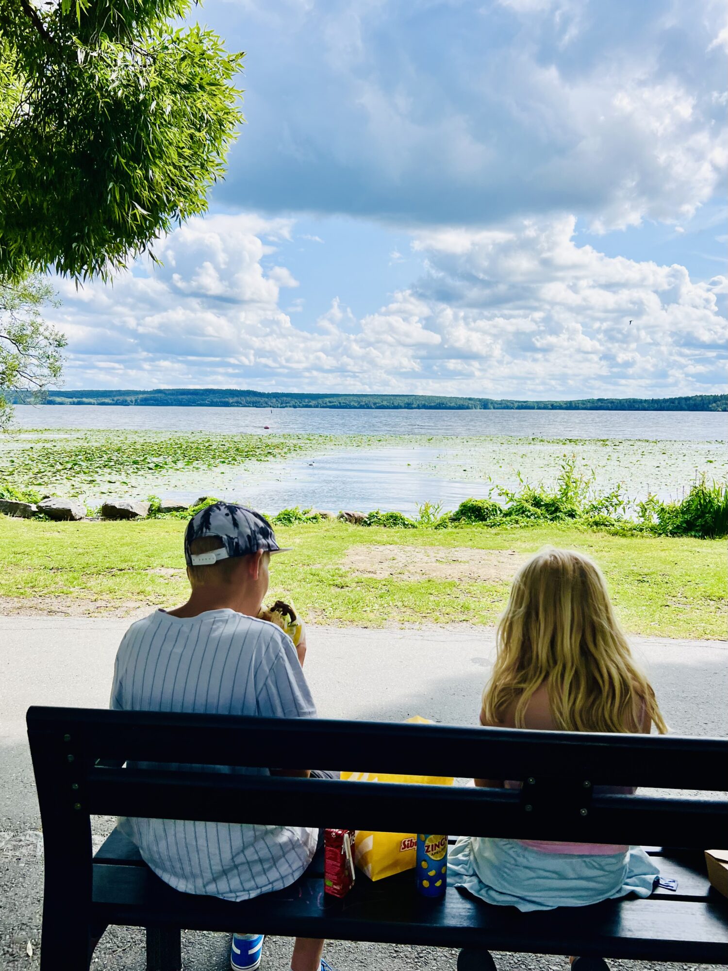 IMG_4009 - Veckans bästa från Mitt i sommaren-veckan