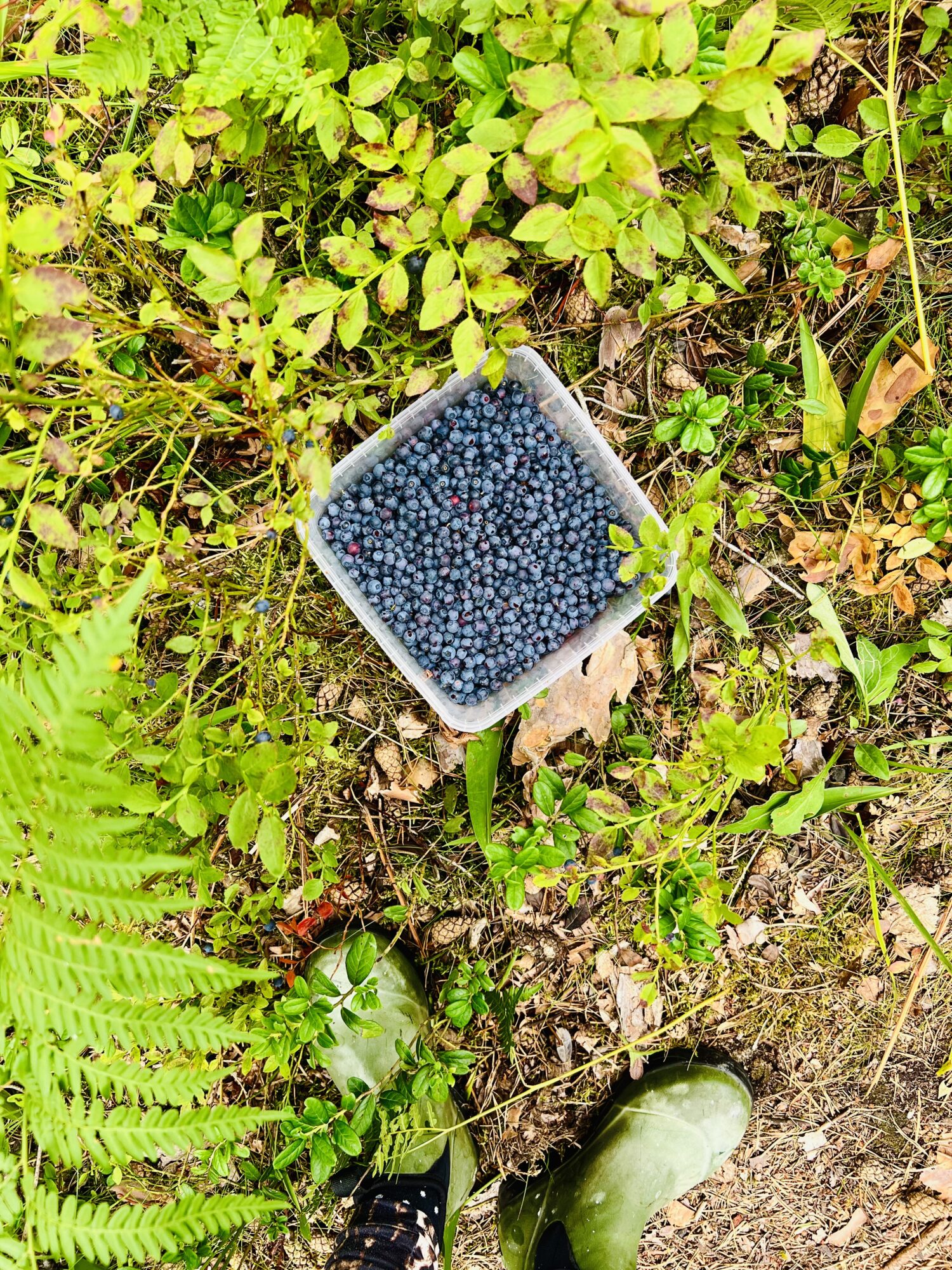 IMG_4469 - Veckan med bara ett barn