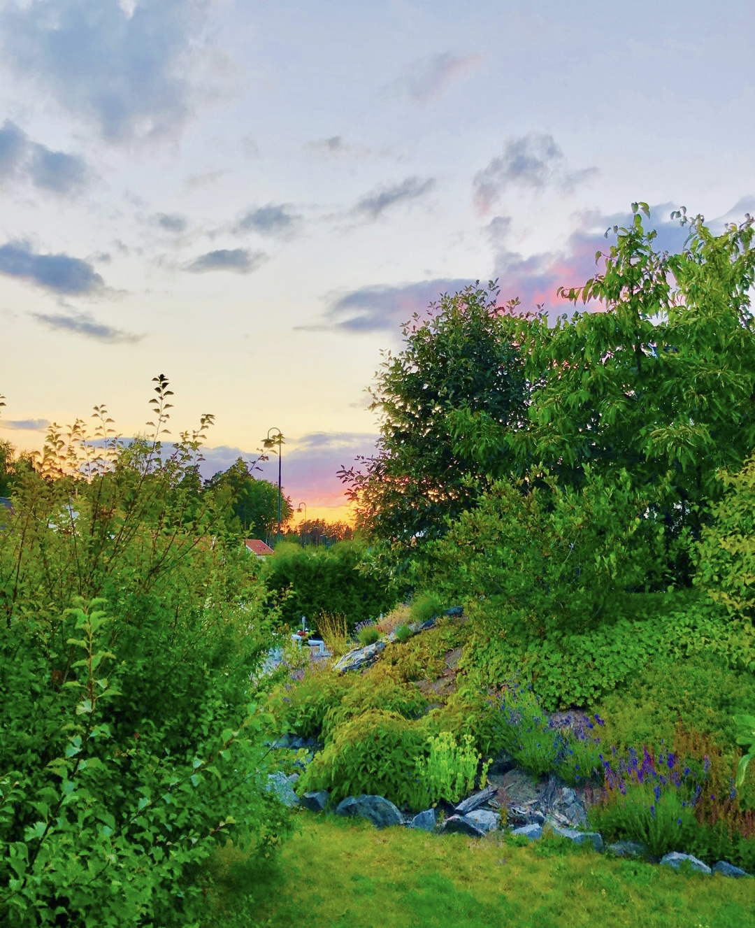 IMG_4574 - Veckan med bara ett barn