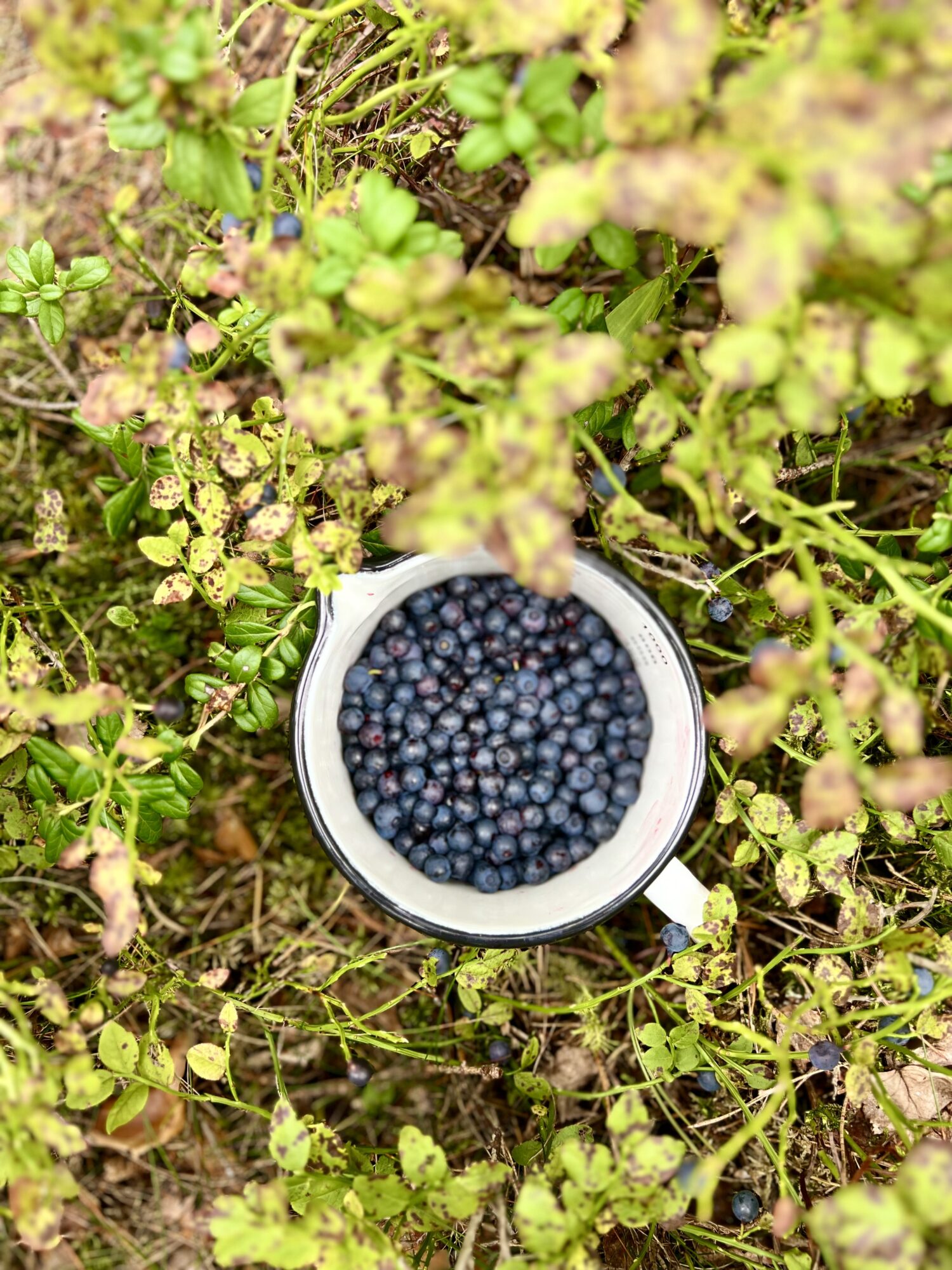 IMG_5400 - Veckans Bästa från första veckan efter semestern ♥