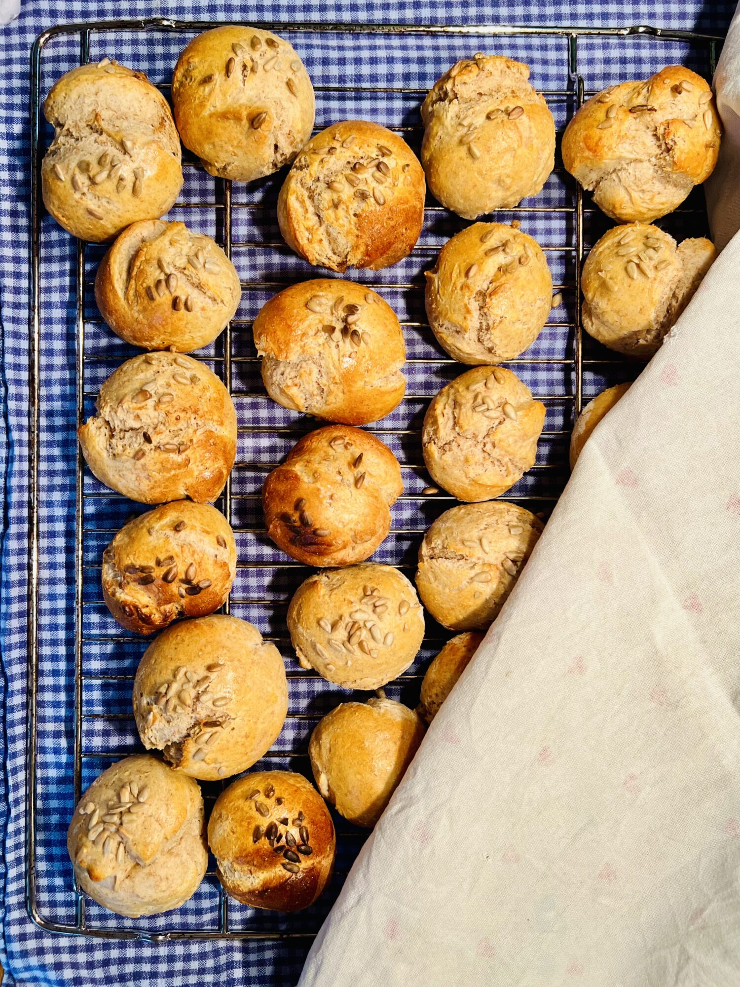 IMG_7654 - kalljästa grova frallor