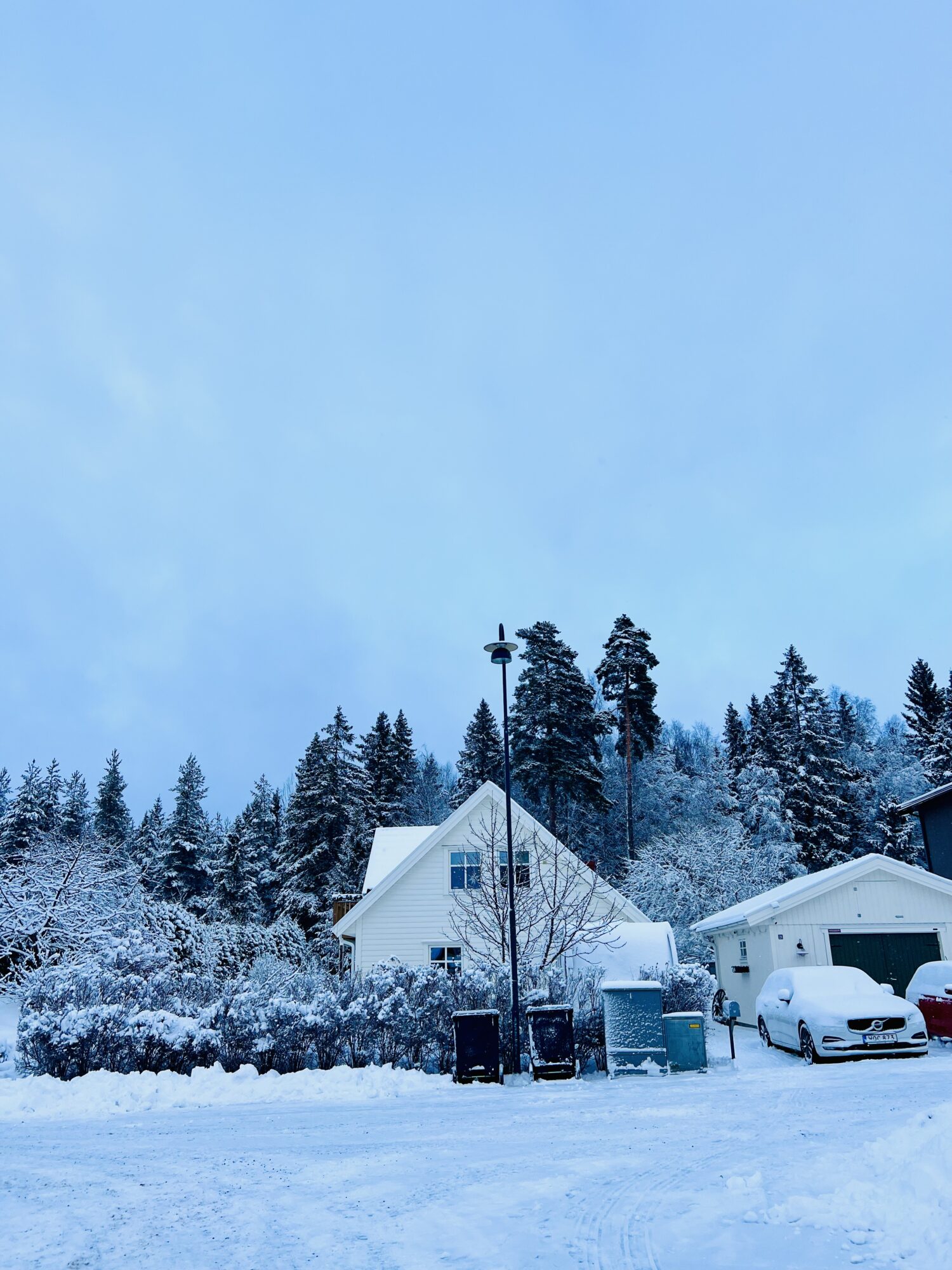 IMG_8814 - Veckans Bästa från 4:e adventsveckan ♥