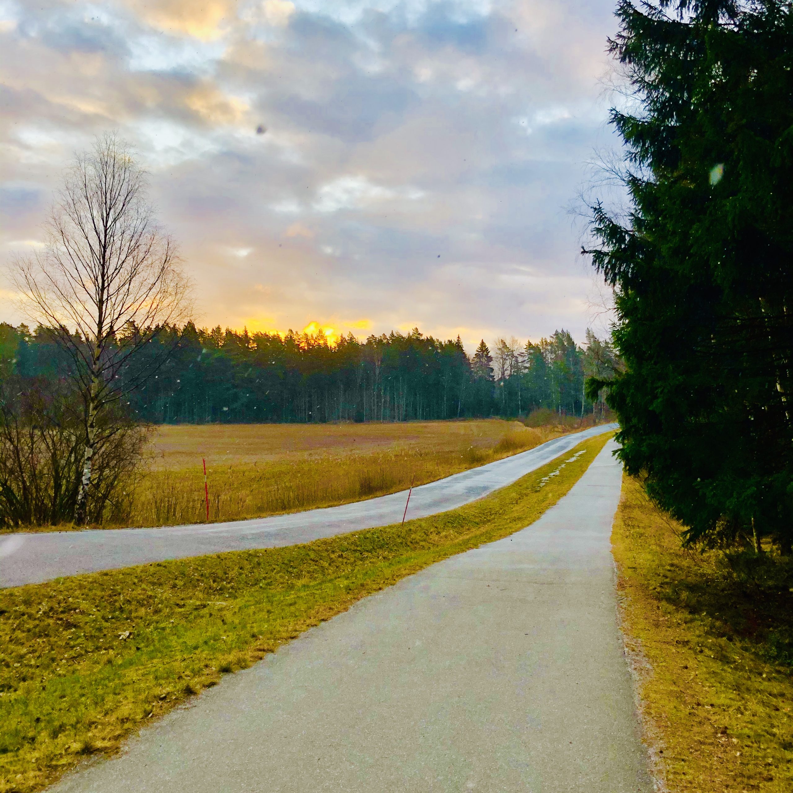 Springvägen till sjön