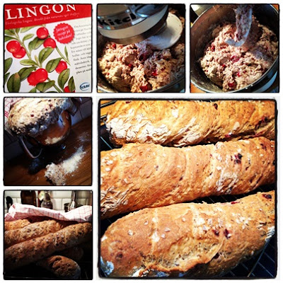 Lingonbaguetter-collage - Lingonbaguetter