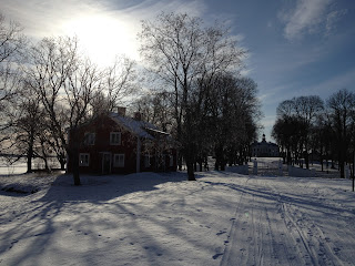 Promenad-med-Caroline-2 - Härlig vinterpromenad med bloggkompis