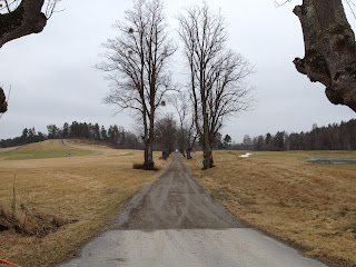 Vartecken-pa-promenad-2 - Sköna vårtecken på promenaden