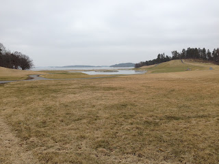 Vartecken-pa-promenad-3 - Sköna vårtecken på promenaden