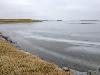 Vartecken-pa-promenad-7 - Sköna vårtecken på promenaden