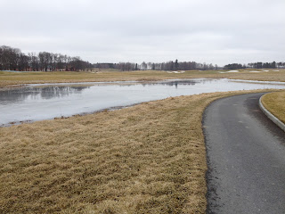 Vartecken-pa-promenad-8 - Sköna vårtecken på promenaden