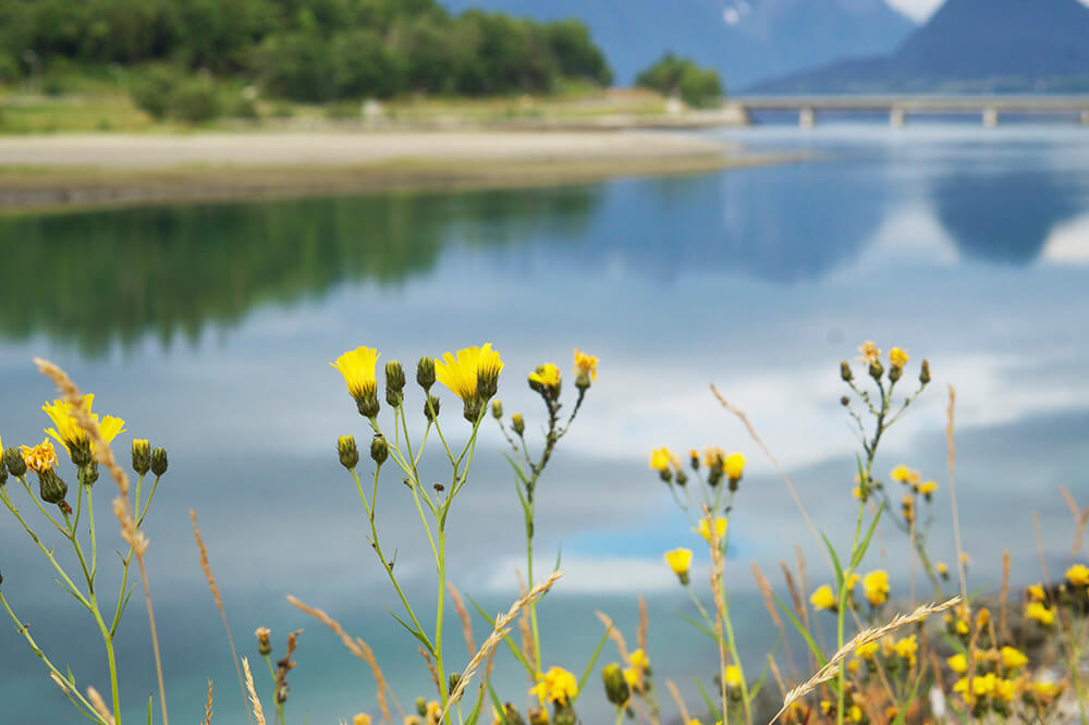 Morgonpromenad i Åndalsnes, Norge