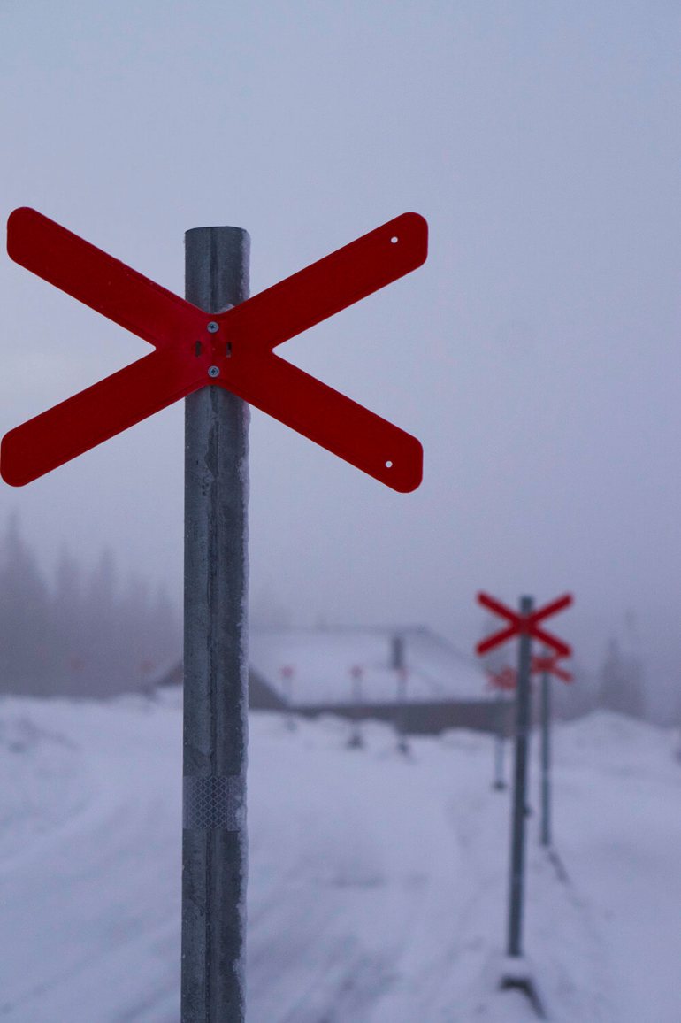 are-bjornen-morgon - Finaste morgonen i Åre