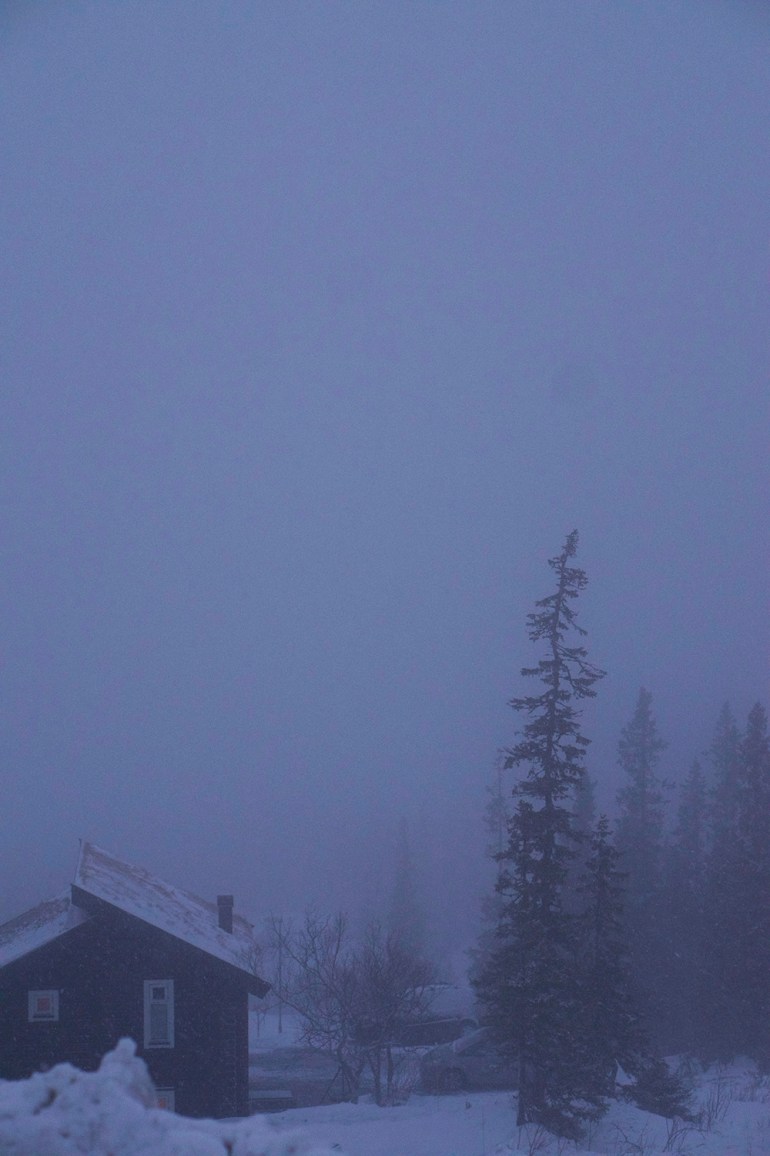 are-bjornen-morgonpromenad-1 - Finaste morgonen i Åre