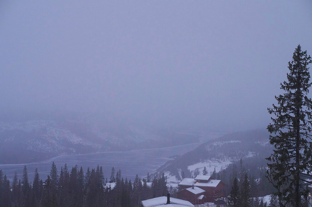 are-bjornen-morgonpromenad-2 - Finaste morgonen i Åre
