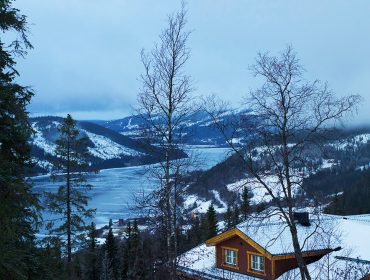 are-bjornen-morgonpromenad-7-1