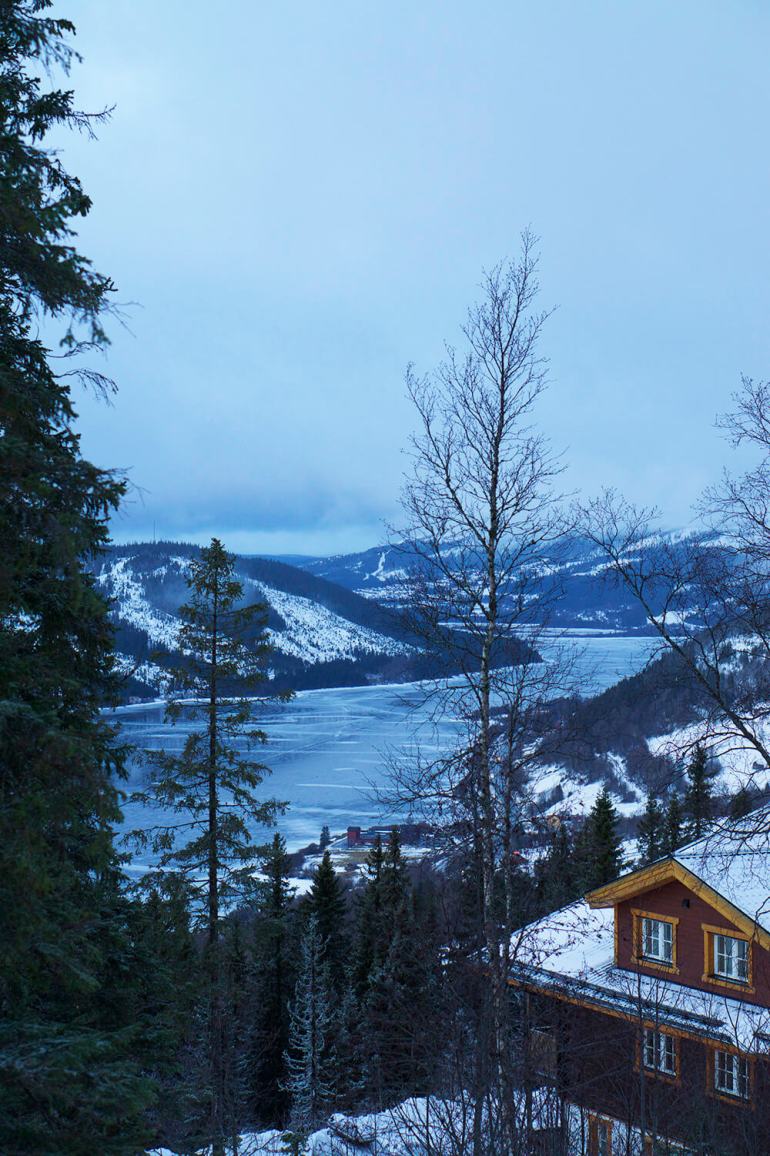 are-bjornen-morgonpromenad-8 - Finaste morgonen i Åre
