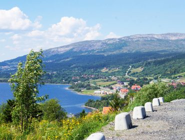 are-sommar-1