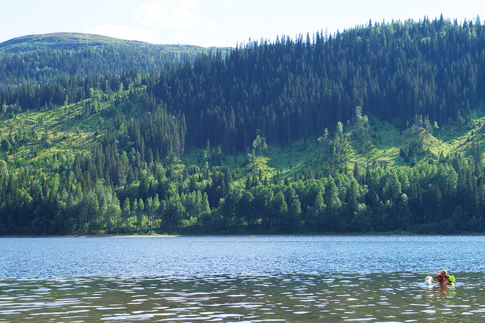 Åresjön på sommaren