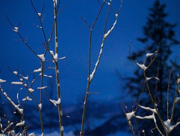are-tidig-morgon-1