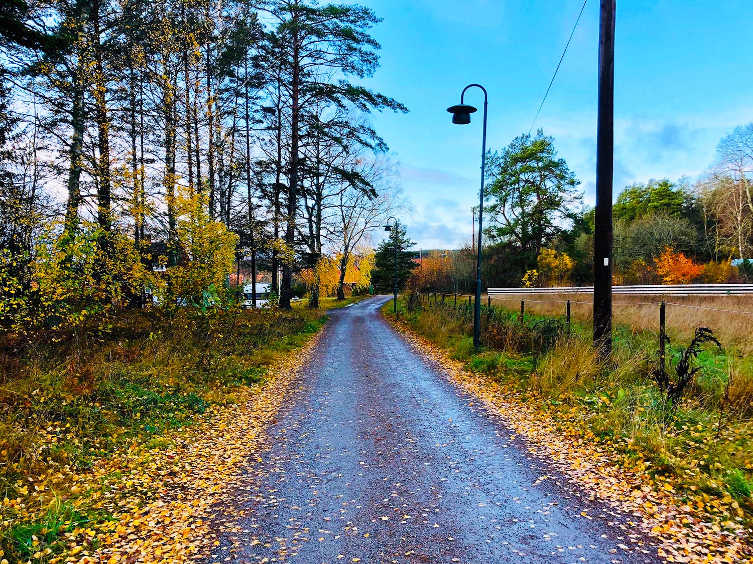 Årets längsta dag - promenad och cykling ute i oktober