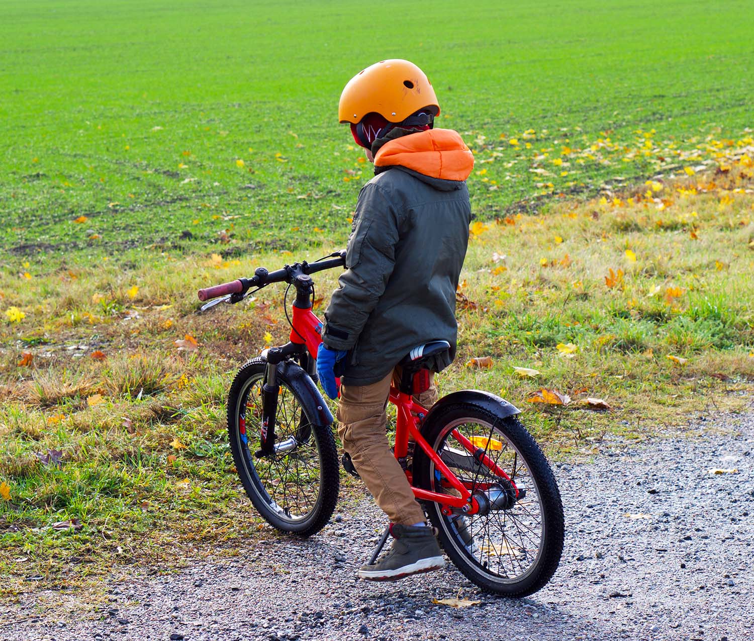 Årets längsta dag - promenad och cykling ute i oktober