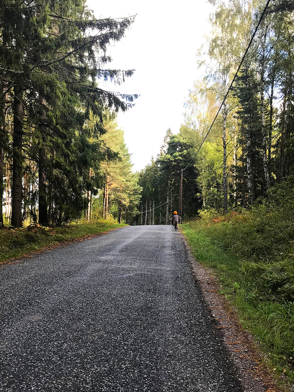 Årets sista dopp - i Lejondalssjön