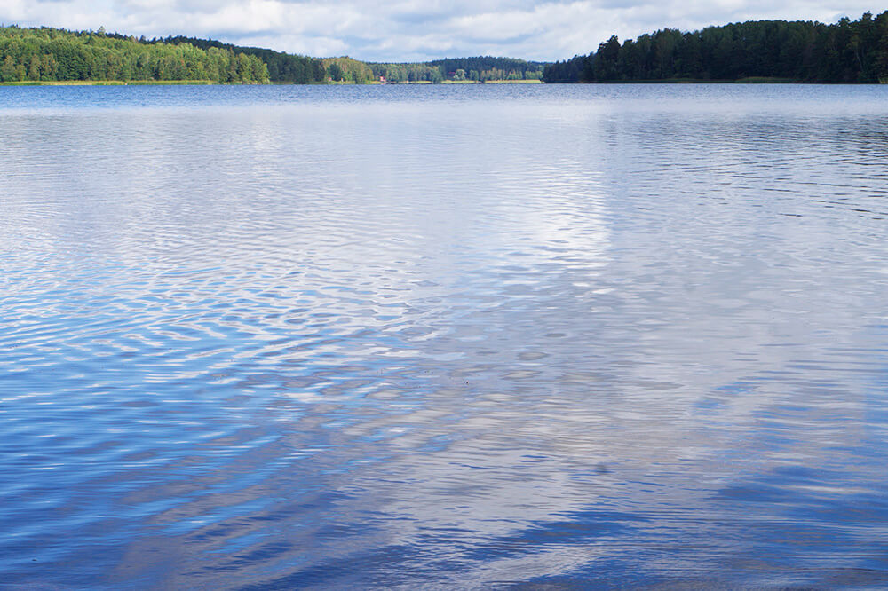 Årets sista dopp - i Lejondalssjön