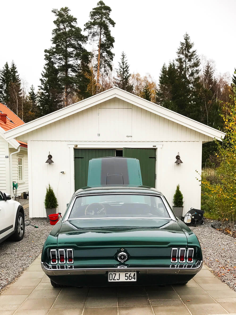 Ford Mustang och en tur på hösten