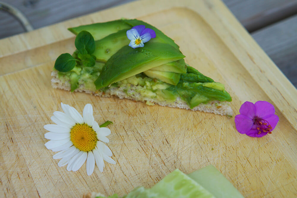 somriga och goda avokadotoasts
