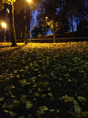 backintervaller-28129-1 - Trappa och backe