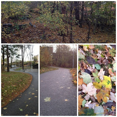 backintervaller-4 - Lågintensiv och högintensiv träning