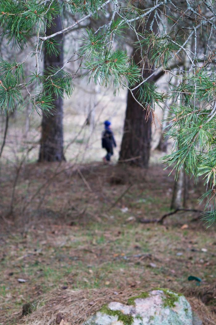 Barnen i skogen