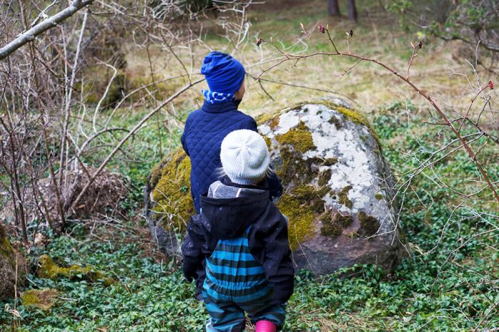 Barnen i skogen